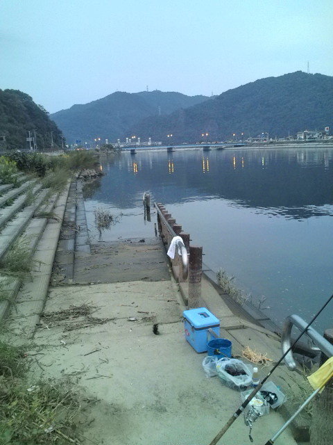 遠征 広島県 闇に隠れたウナギ釣り ときどきvape